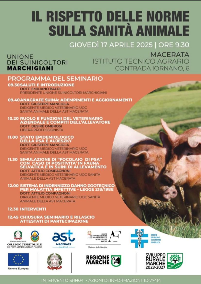 locandina suini