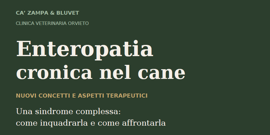 Enteropatia cronica nel cane con il Dott. Francesco Lotti – 7 novembre, Orvieto