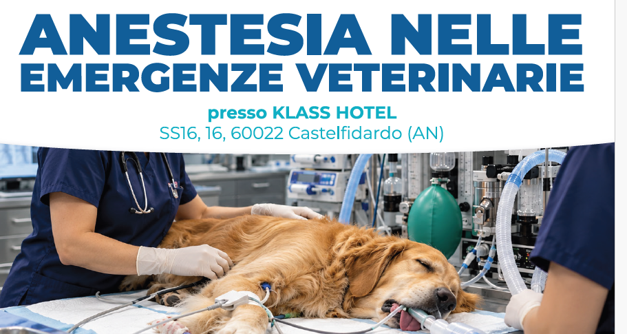 Giornata di formazione "ANESTESIA NELLE EMERGENZE VETERINARIE" - 28 novembre 2026 Hotel Klass Castelfidardo